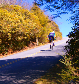 Mountain Bike Cyclist in GA