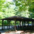 Amicalola Falls Picnic Shelter