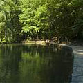 Pond at Amicalola Falls State Park
