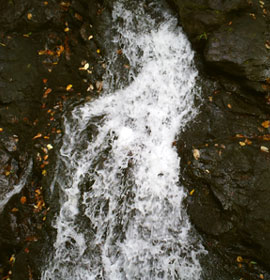 Amicalola Falls Waterfall