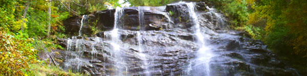 Amicalola Falls Waterfalls at top