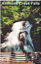 Ammons Holcomb Creek Falls