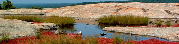 Arabia Mountain in Dekalb County Georgia