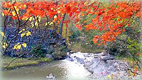 Vibrant Snake Creek in the Fall