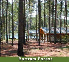 Bartram Forest