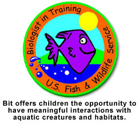 BiT Educational Program Logo