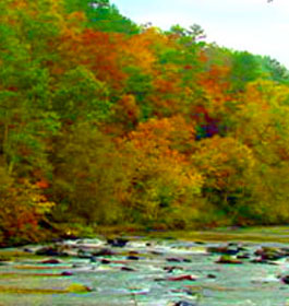 River at B. J. Reece Orchards