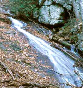 Waterfall at Boggs Creek