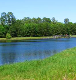 Blythe Island Park in Brunswick GA