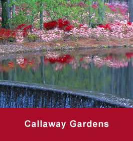 Callaway Gardens flowers