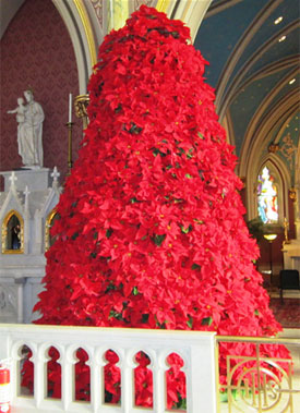 Christmas Tree at Cathedral St. John the Baptist