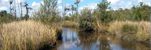 Cay Creek Wetlands