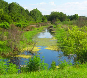 Cay Creek Wetlands