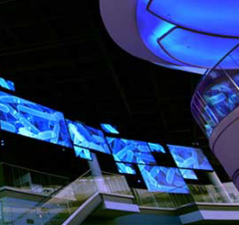 CDC Global Odyssey Museum at Night