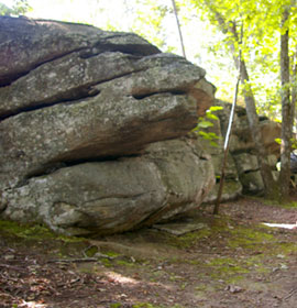 Cherokee Bluff Rock Face