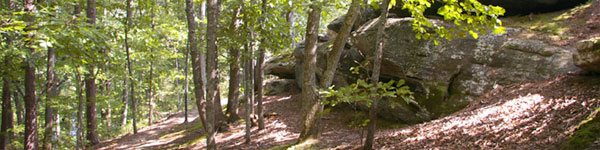 Cherokee Bluff Boulders and Trails