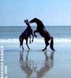 Cumberland Island, Wild Horses