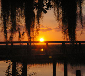 Sunset at Georgia coastal marsh area