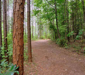 Cobb County Park Trail
