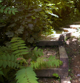 Overlook stairs on pathway
