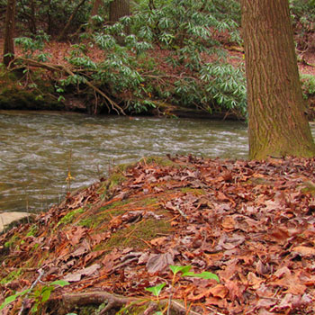 Cooper Creek Recreation Area