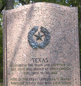 Civil War Texas Infantry