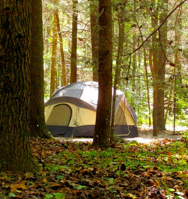 Camping at DeSoto Falls Recreation Area