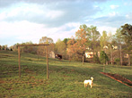 Pretty Georgia Scenery