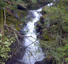 Waterfall at Dukes Creek Falls