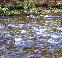 Fast River