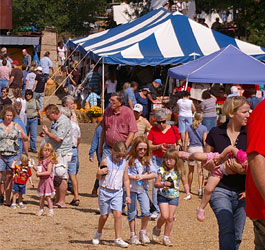 GA festival crowd