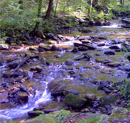 Flowing GA river