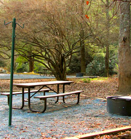 Frank Gross Recreation Area Campsite