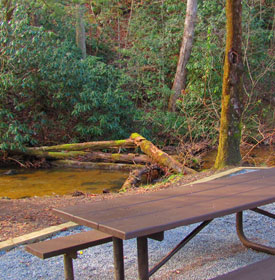 Picnic Area at Frank Gross U.S. Forest
