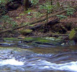 GA flowing river