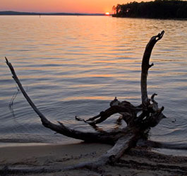 Sunset at George T Bagby State Park