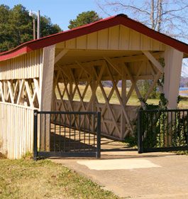 Georgia Covered Bridge