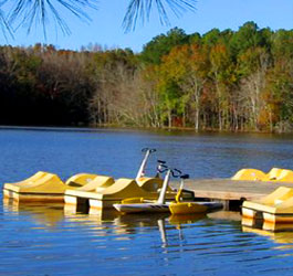 Paddle boats at lake at Hamburg State Park