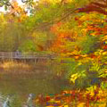 Scenic lake view at Hart State Outdoor Recreation Area