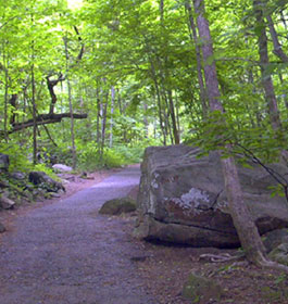 Hiking Trail with Big Rock