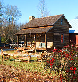 Historic House in Georgia
