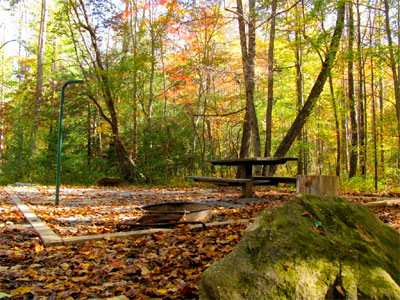 Jacks River Fields Campsite