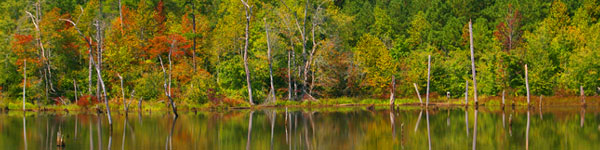 Georgia Lake in Fall