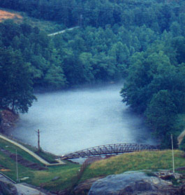 Lake Lanier dam and trees