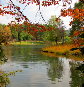 Lake Russell in the fall