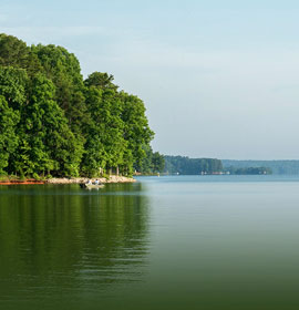 Lake Sinclair scenic beauty