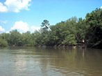 Refreshing Georgia Lake