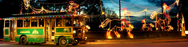 Magical Night of Lights at Lake Lanier Islands