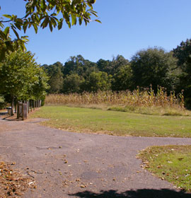Trail and Crops at McDaniel Farm Park