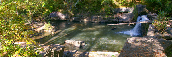 Creek at McDaniel Farm Park